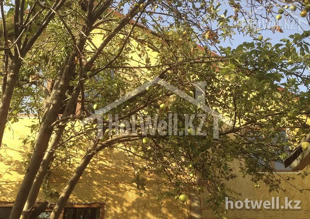 Второй этаж дома «Б-173» из СИП-панелей, вид сквозь крону яблони на участке